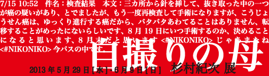 「自撮りの母　杉村紀次展」