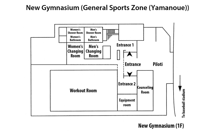 Gymnasium (Liberal Arts & Sciences Buildings Zone) 