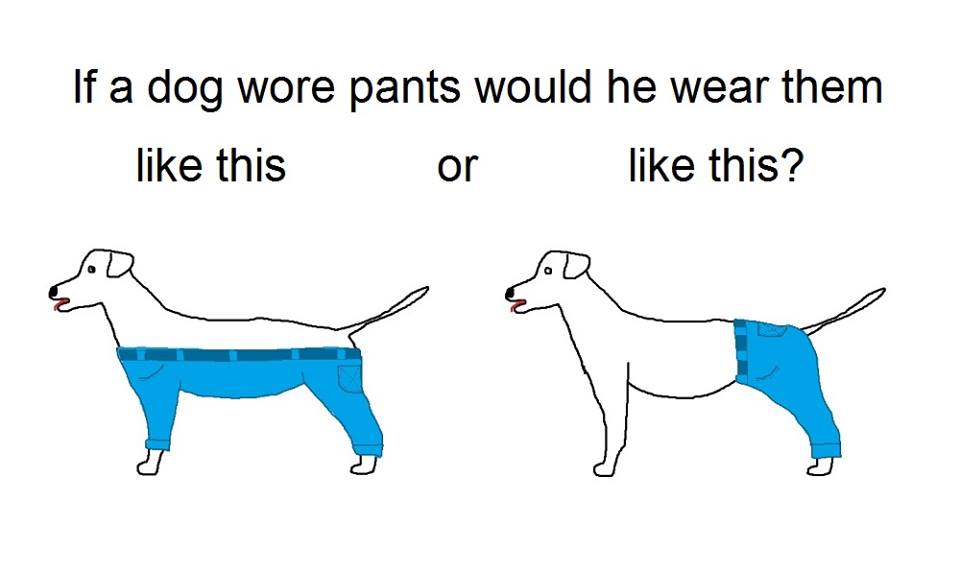 Two drawings of a white dog wearing blue pants covering either four legs or two legs